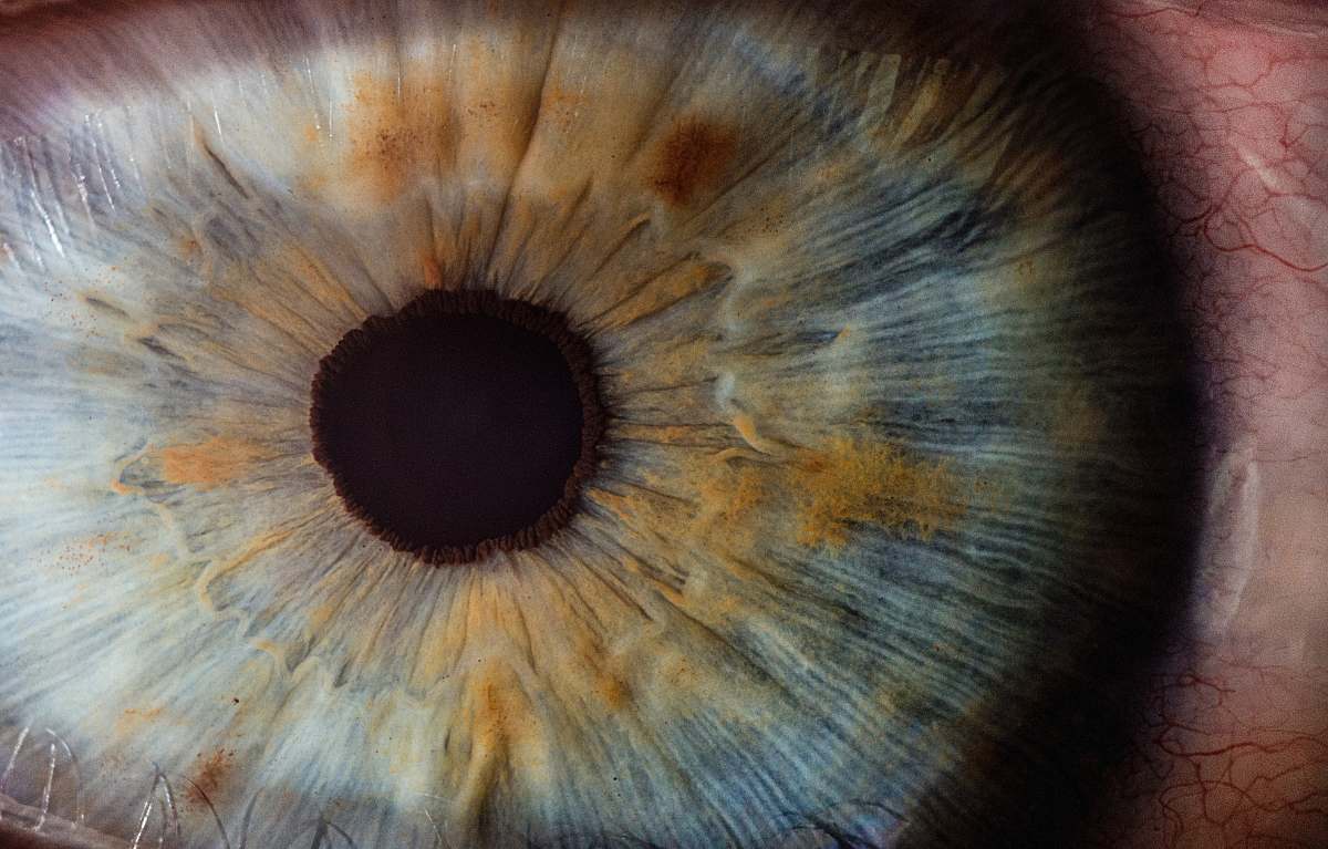 close up macro photography of human eye macro